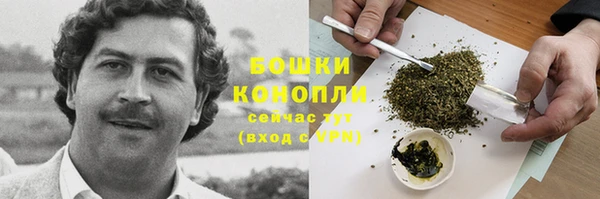 Альфа ПВП Фёдоровский