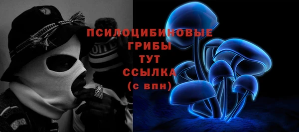 Альфа ПВП Фёдоровский