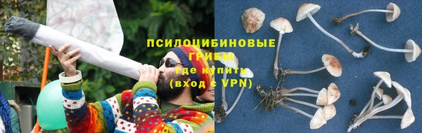 Альфа ПВП Фёдоровский